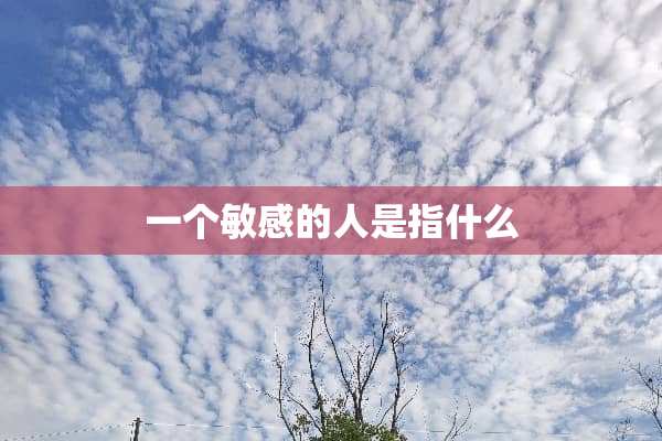 一个敏感的人是指什么