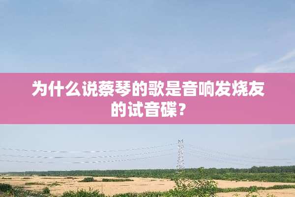 为什么说蔡琴的歌是音响发烧友的试音碟？