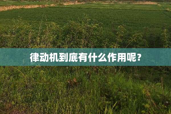 律动机到底有什么作用呢？