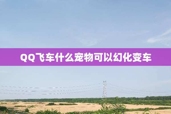 QQ飞车什么宠物可以幻化变车