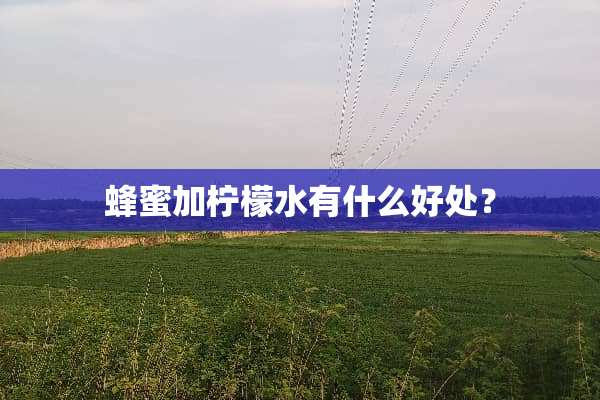 蜂蜜加柠檬水有什么好处？