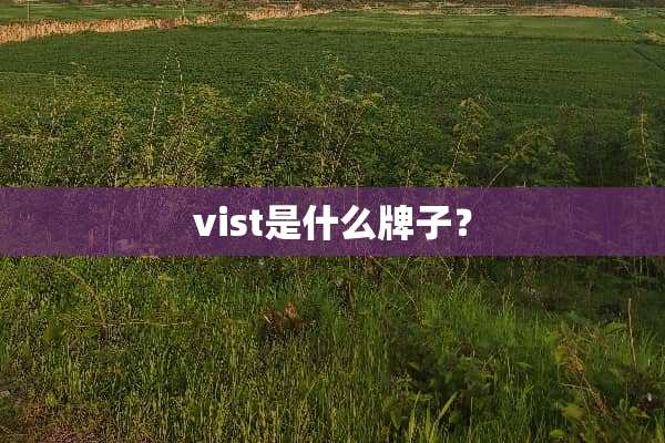 vist是什么牌子？