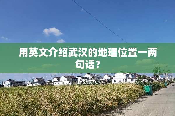 用英文介绍武汉的地理位置一两句话？