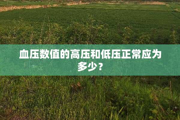 血压数值的高压和低压正常应为多少？