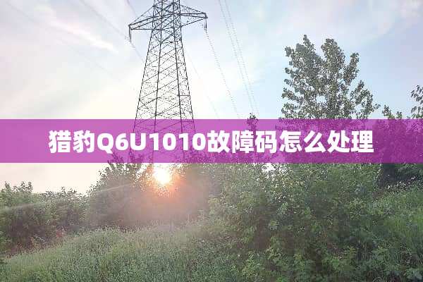 **Q6U1010故障码怎么处理