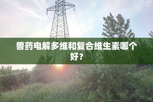 兽药电解**和复合维生素哪个好？