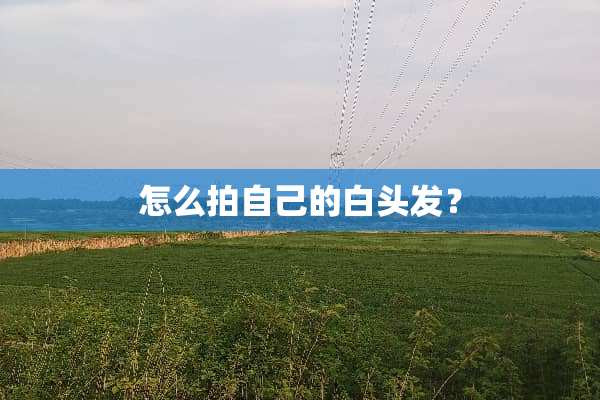 怎么拍自己的白头发？