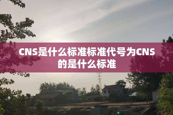 CNS是什么标准标准代号为CNS的是什么标准