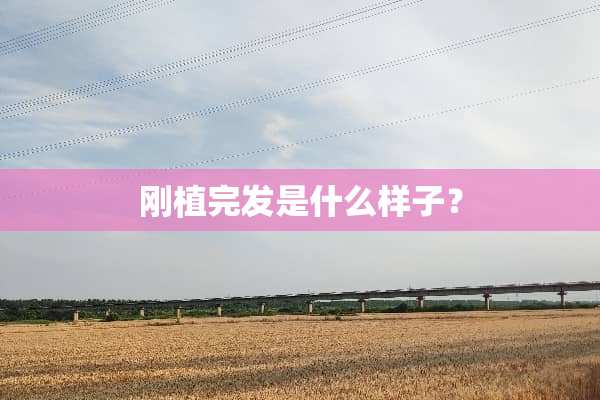 刚植完发是什么样子？