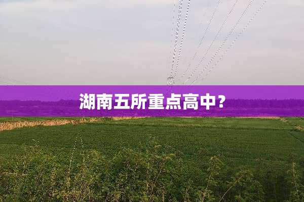 湖南五所重点高中？
