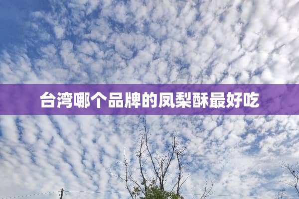 **哪个品牌的凤梨酥最好吃