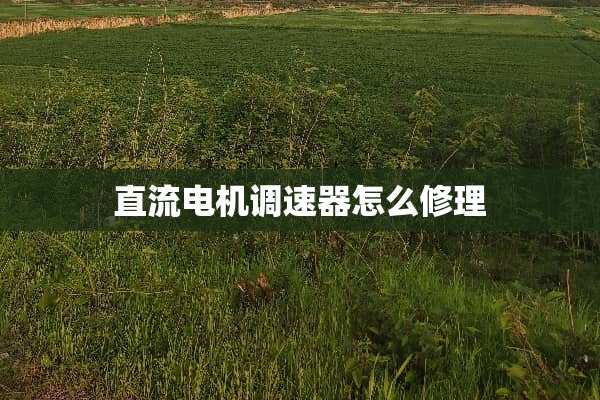 直流电机调速器怎么修理