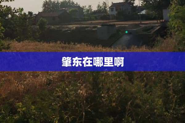 肇东在哪里啊