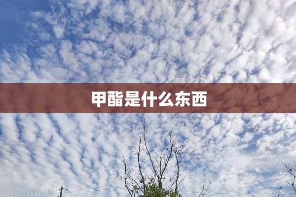 甲酯是什么东西