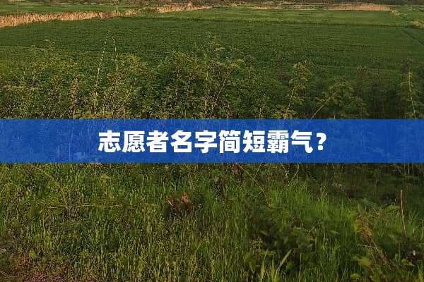 志愿者名字简短霸气？