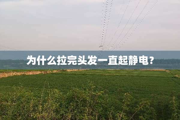 为什么拉完头发一直起静电？