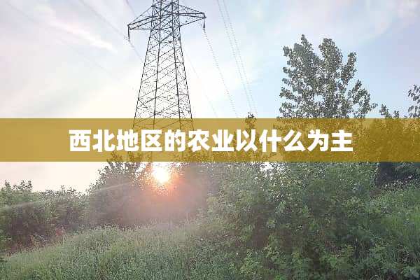 西北地区的农业以什么为主