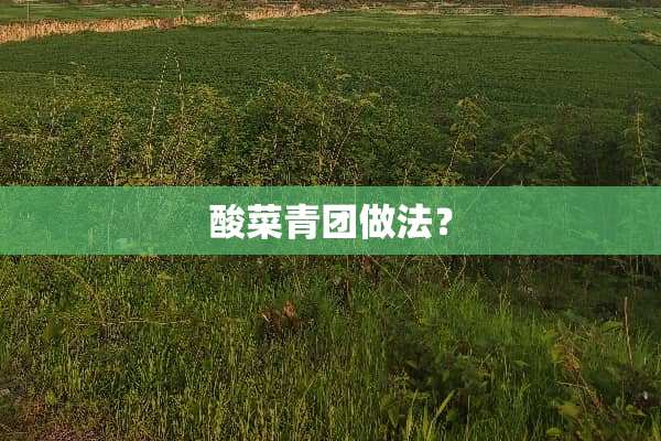 酸菜青团做法？