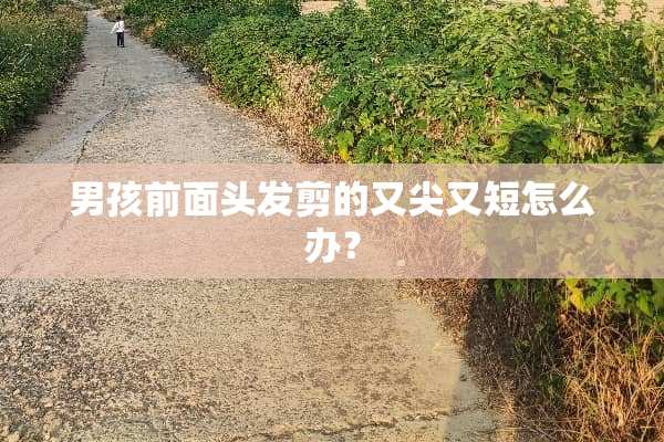 男孩前面头发剪的又尖又短怎么办？