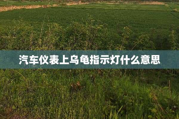 汽车仪表上乌龟指示灯什么意思