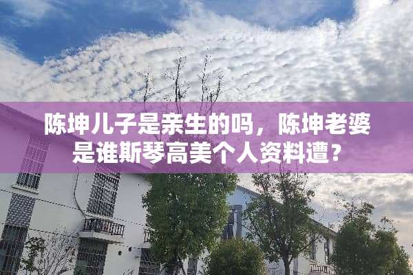 陈坤儿子是亲生的吗，陈坤老婆是谁斯琴高美个人资料遭？
