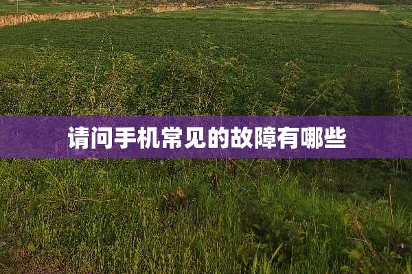 请问手机常见的故障有哪些