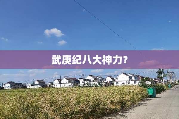 武庚纪八大神力？