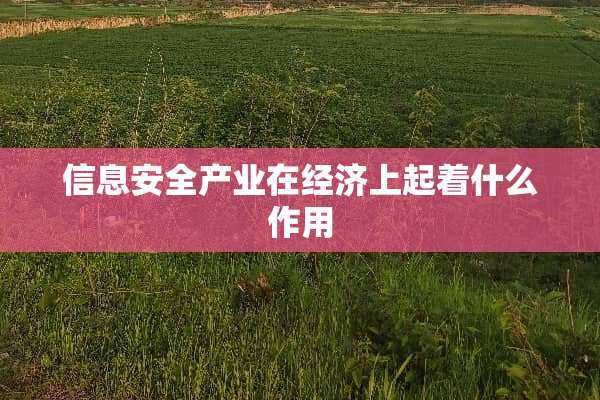 信息安全产业在经济上起着什么作用