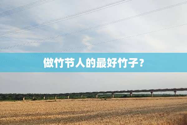 做竹节人的最好竹子？