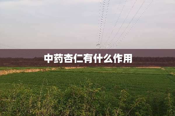 中药杏仁有什么作用