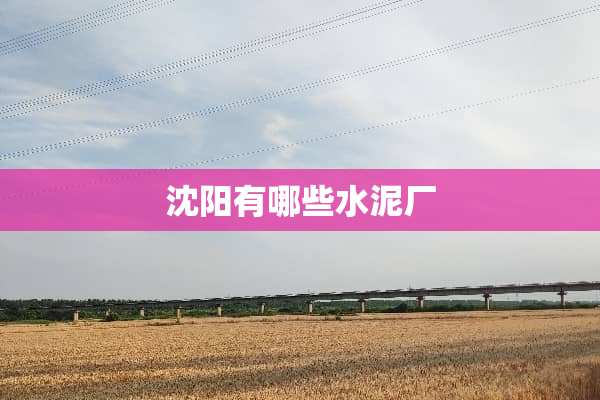 沈阳有哪些水泥厂