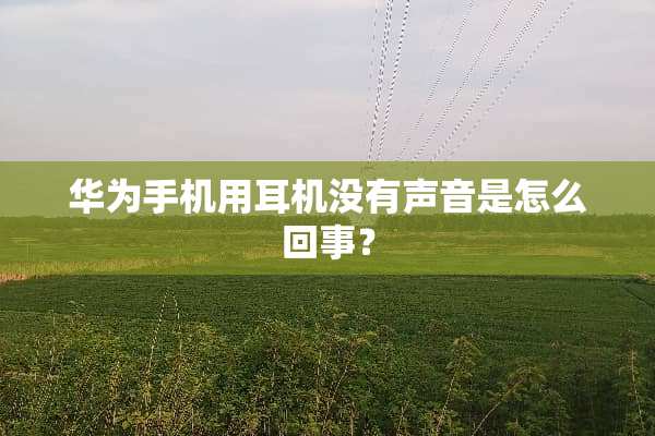 华为手机用耳机没有声音是怎么回事？