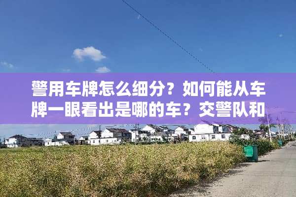 警用车牌怎么细分？如何能从车牌一眼看出是哪的车？交警队和**局的车牌怎么分？