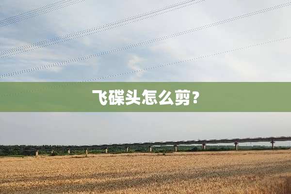 飞碟头怎么剪？