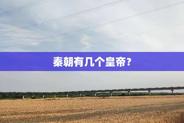 秦朝有几个皇帝？