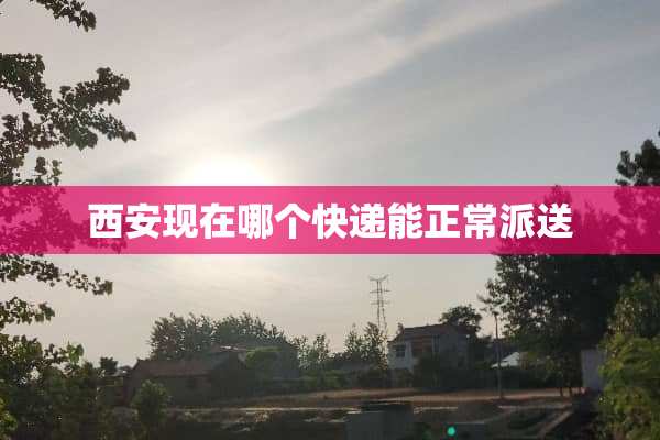 西安现在哪个快递能正常派送