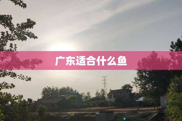 广东适合什么鱼