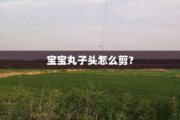 宝宝丸子头怎么剪？