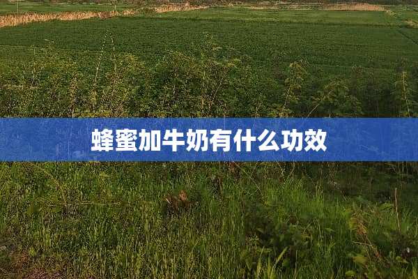 蜂蜜加牛奶有什么功效