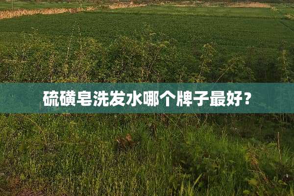 硫磺皂洗发水哪个牌子最好？