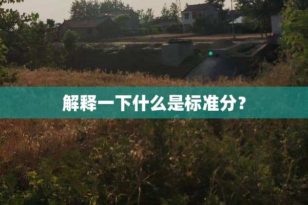 解释一下什么是标准分？