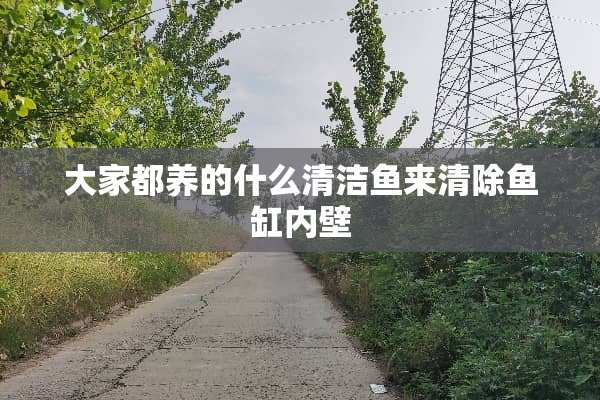大家都养的什么清洁鱼来清除鱼缸内壁