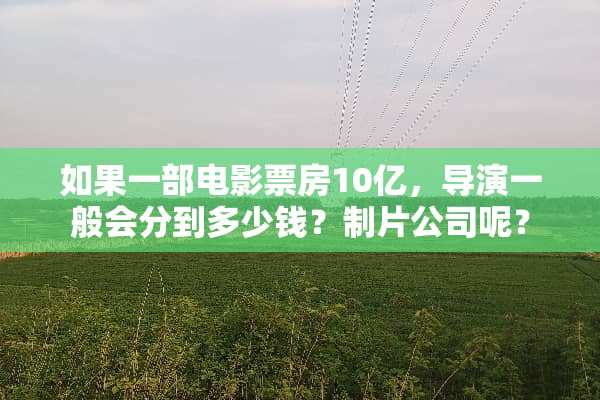 如果一部电影票房10亿，导演一般会分到多少钱？制片公司呢？