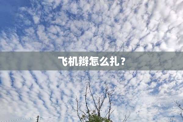 飞机辫怎么扎？