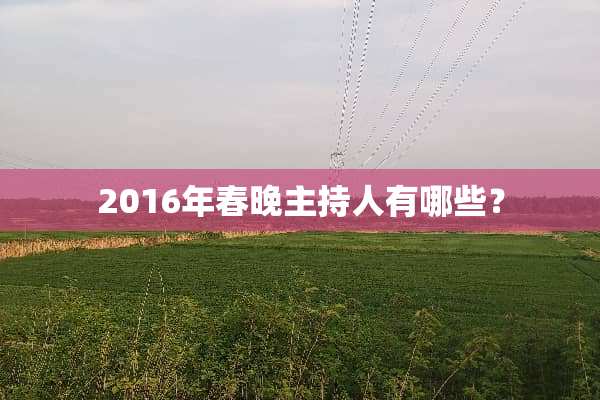 2016年春晚主持人有哪些？