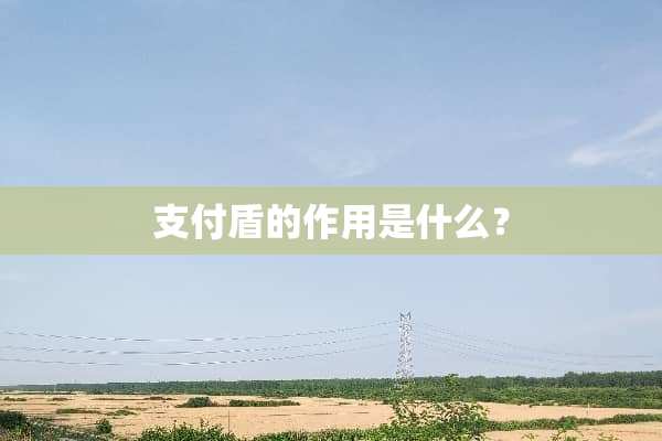 支付盾的作用是什么？