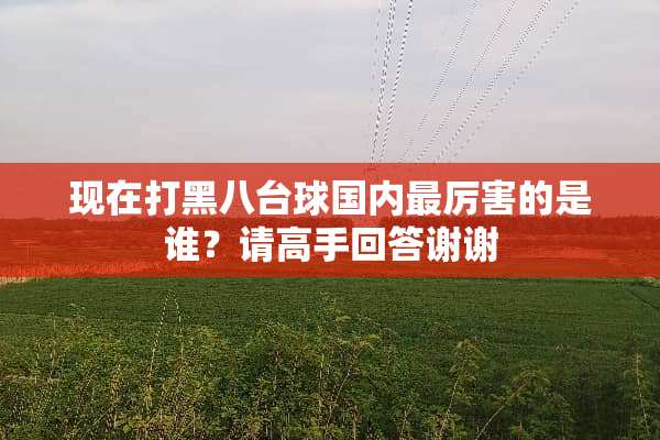 现在打黑八台球国内最厉害的是谁？请高手回答谢谢