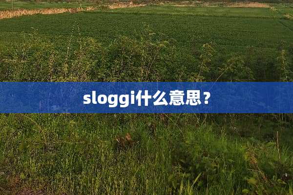 sloggi什么意思？