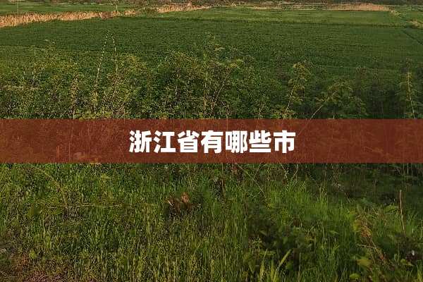 浙江省有哪些市