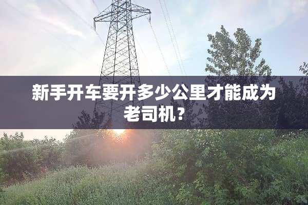 新手开车要开多少公里才能成为老司机？